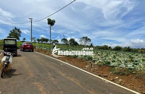 Cơ hội đầu tư sinh lời cao – dự án NaLi Chill - Homestay and BBQ vị trí vàng ngay tại Bảo Lộc